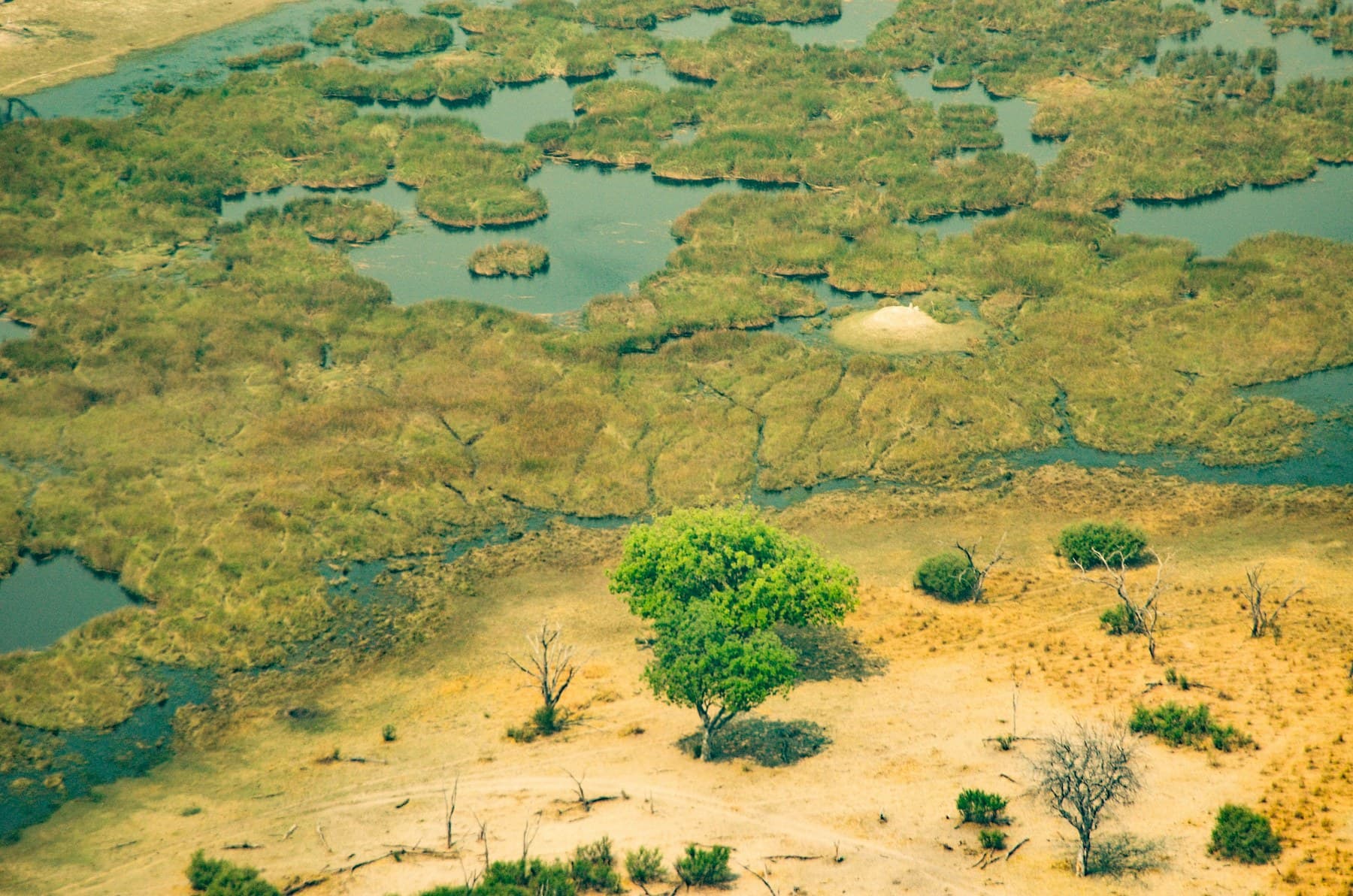Aerial view of green land and waterways